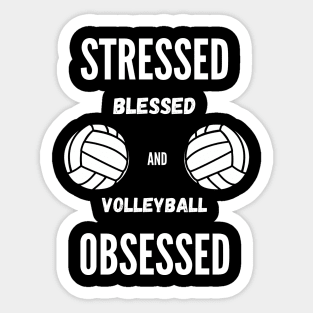 Best Gift Idea for a Volleyball Player Sticker